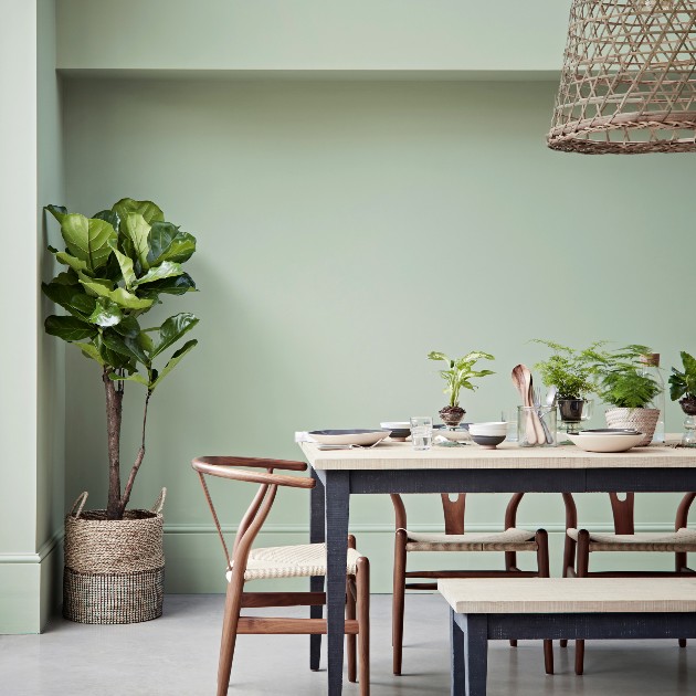 dining table and chairs, plants and wall painted green