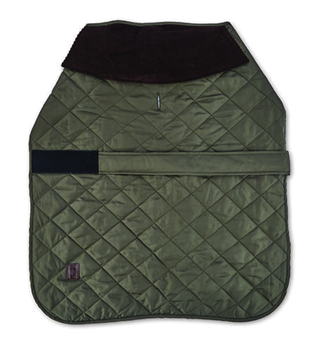 quilted dog coat