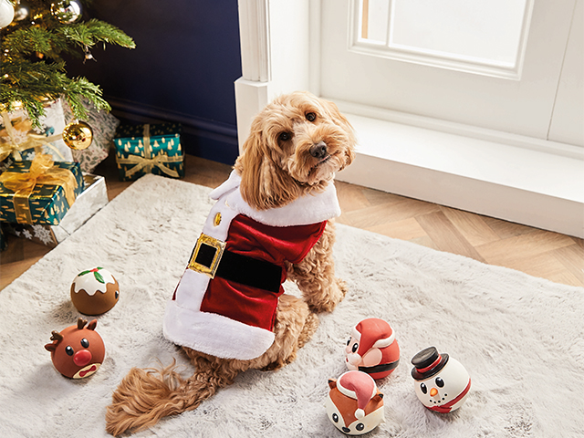 dog santa outfit