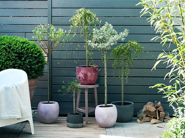 potted plants in modern garden - goodhomesmagazine.com