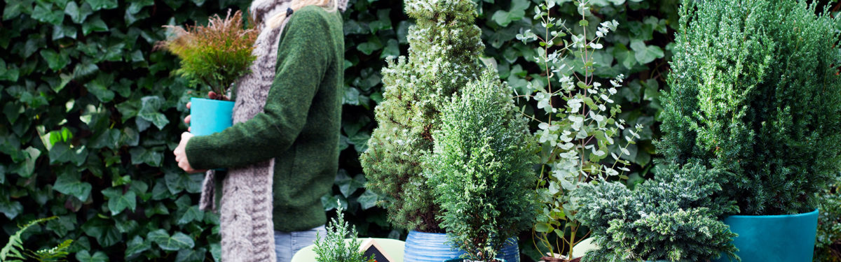 woman moving garden plants - goodhomesmagazine.com