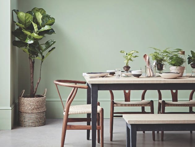Dining room with sage coloured wall and potted plants