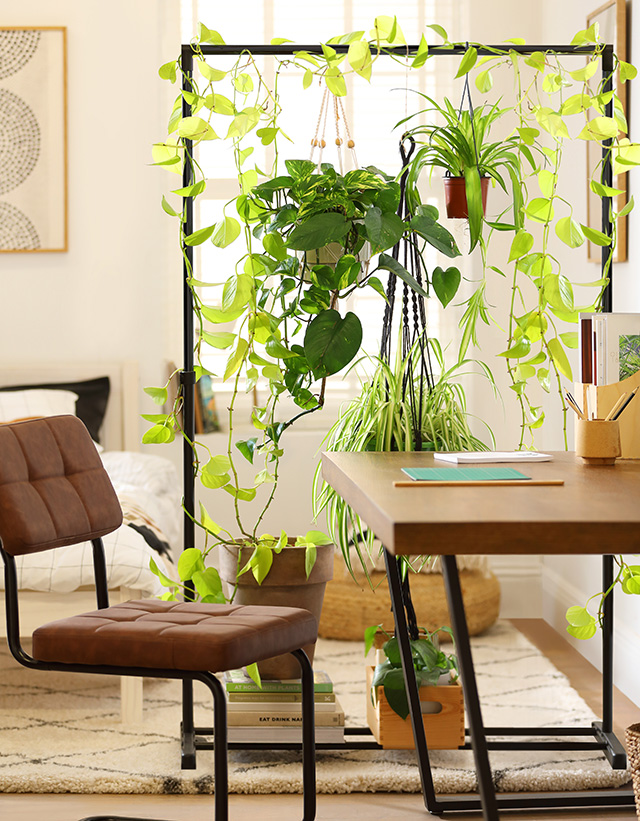 diy plant room divider - open plan zoning - goodhomesmagazine.com