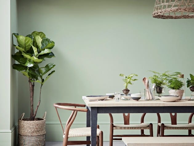 dining room with table, chairs, bench, plant and green walls