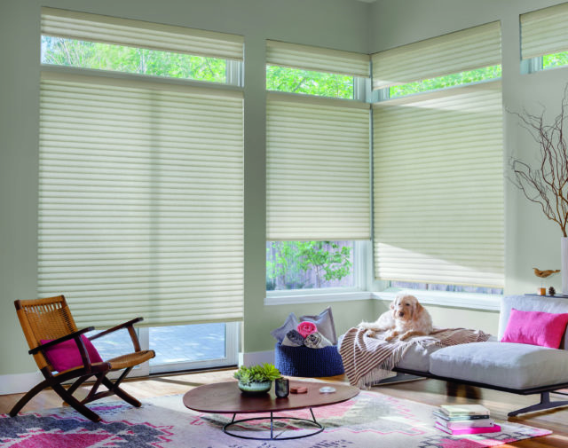 neutral living room with large windows, pink patterned rug and Sonnette™ window shades