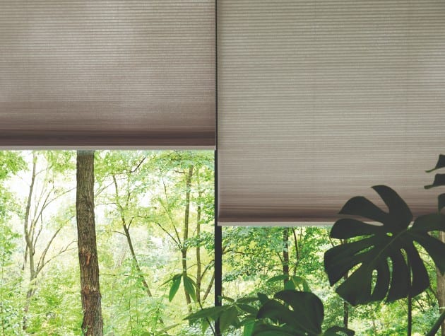 modern interior with plants, full-height windows and pleated blinds by Blinds Direct