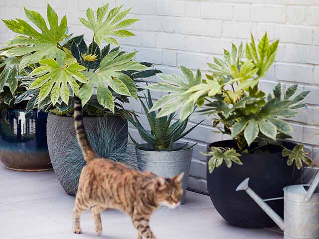 Planters in small garden space, goodhomesmagazine.com