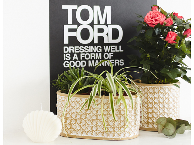 Missguided Sass belle beige rattan weave concrete trough planter | Good Homes Magazine