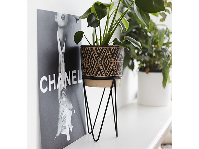 Missguided Sass belle black nomad planter with wire stand | Good Homes Magazine