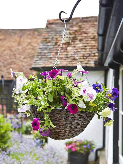 Floral hanging basket small garden ideas goodhomesmagazine.com