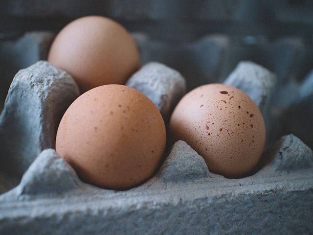 Eggs in carton | Credit: Pexels | Good Homes Magazine