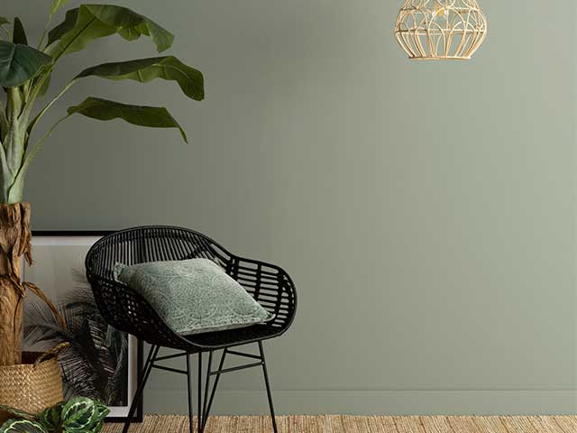 Black rattan chair on a brown woven rug surrounded by plants, and in front of a green painted wall - Goodhomesmagazine.com