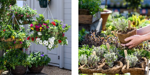 Two images showing hanging baskets and potted plants