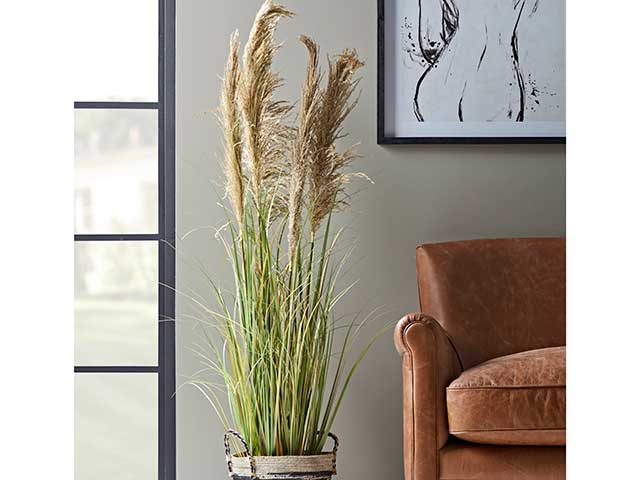 Full size pampas grass in living room next to window