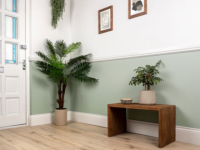 Light oak hallway flooring with pale green walls and plants