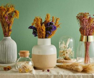 Collection of dried flowers in vases and terranium on wooden table