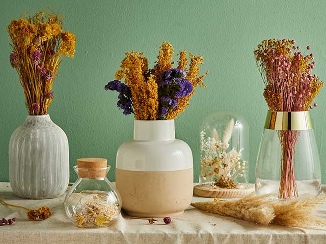 Collection of dried flowers in vases and terranium on wooden table