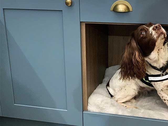 A dog on a bed fitted into a kitchen unit - Utility room ideas - Goodhomesmagazine.com