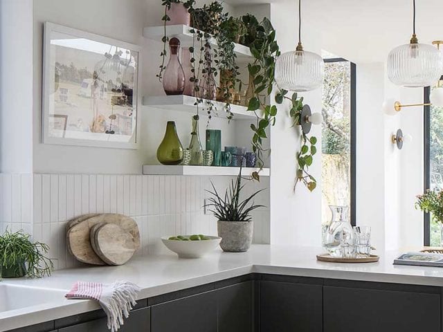 Melbourne-inspired home kitchen with plant life, full length doors and windows onto substantial garden
