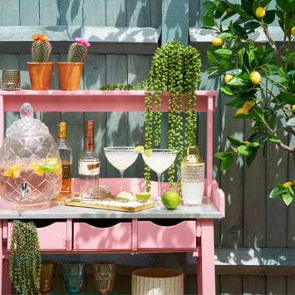 Pink garden bar with plants and cocktails, from Wayfair