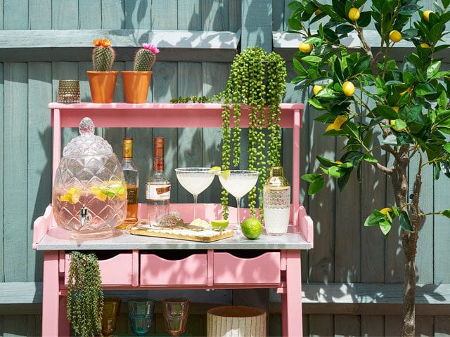 Pink garden bar with plants and cocktails, from Wayfair