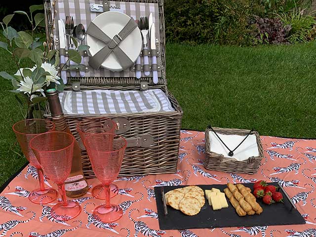 Tiger patterned pink picnic blanket with hamper and tray of snacks on grassy field