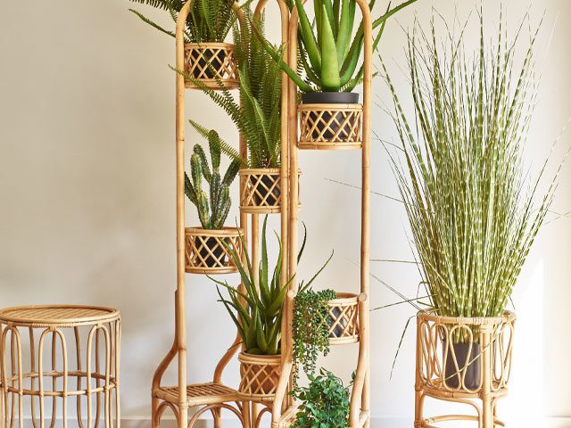 Oliver Bonas rattan plant holders act as a great room divider