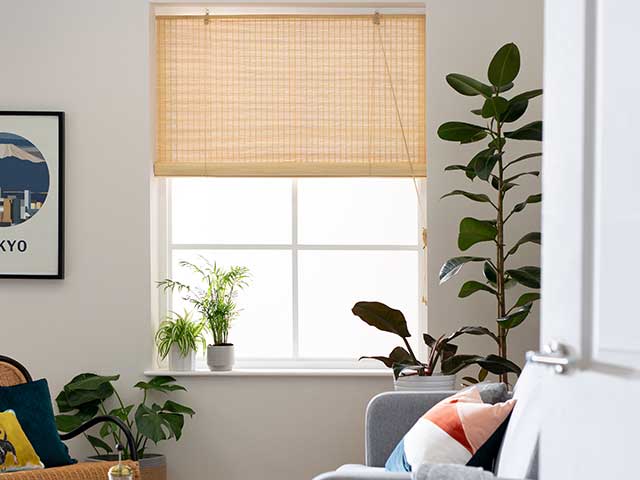 Bamboo roller blinds in window with houseplants