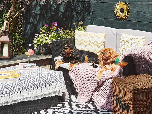 Two King Charles Spaniels in cosy garden with blankets