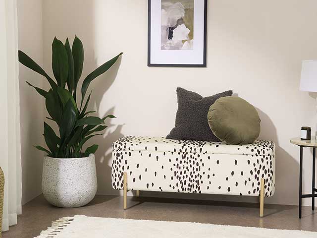 Dalmation print ottoman benchwith houseplant beside and cream rug in front