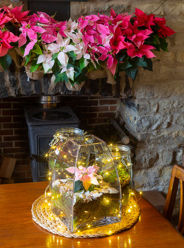 Christmas plants and a poinsettia fireplace garland above a traditional brick fireplace