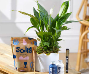 craft gifts: plant pot pottery kit from sculpd x bloom and wild
