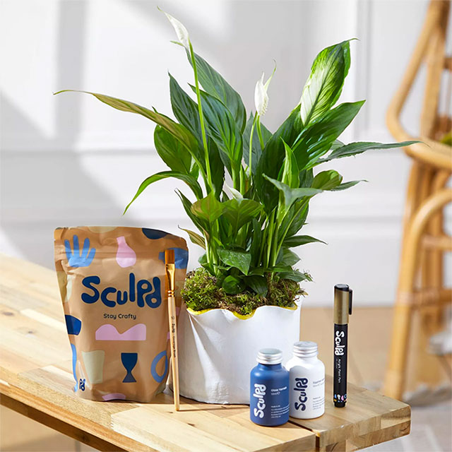 craft gifts: plant pot pottery kit from sculpd x bloom and wild