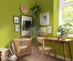 Plant power office with wooden furniture and plants