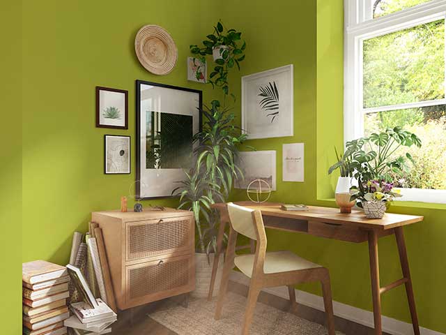 Plant power office with wooden furniture and plants