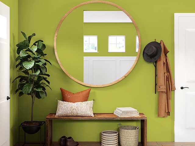 Plant power wall with window seat and large circular mirror