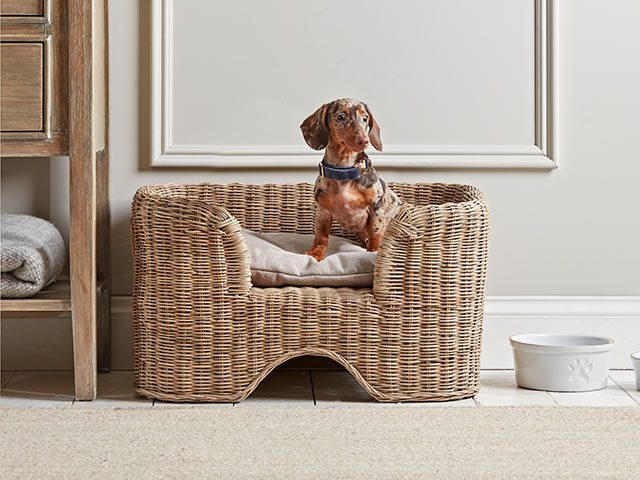 Wicker dog bed with sausage dog inside