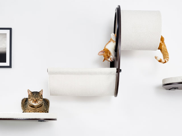 cat shelves: Catwalk Play wall-mounted cat shelf, £159 from Fabio The Cat