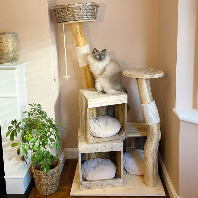 catification cat tower from etsy recycled materials