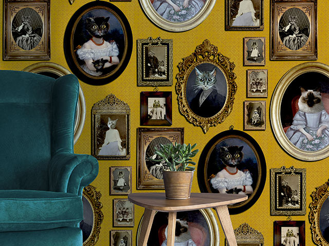 Barkitecture yellow kitty feature wallpaper