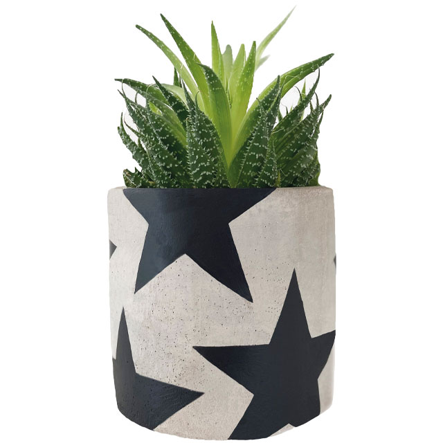 monochrome star print plant pot