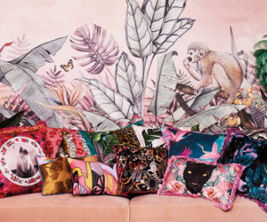 Siobhan Murphy colourful cushion collection available at Freemans