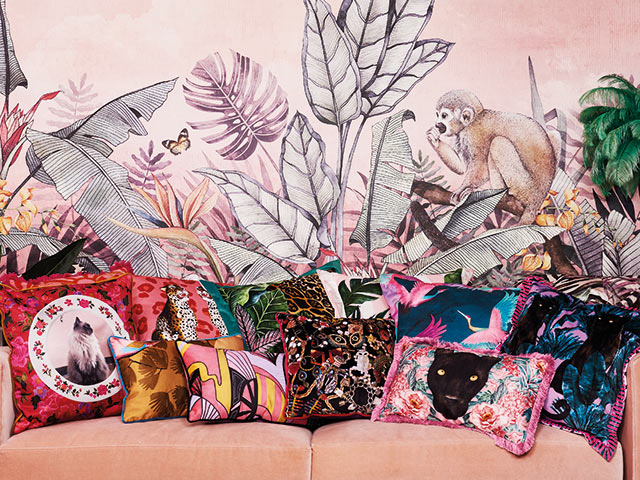 Siobhan Murphy colourful cushion collection available at Freemans