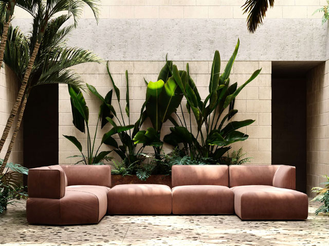 vdeep pink sofa in modern room with leafy green plants