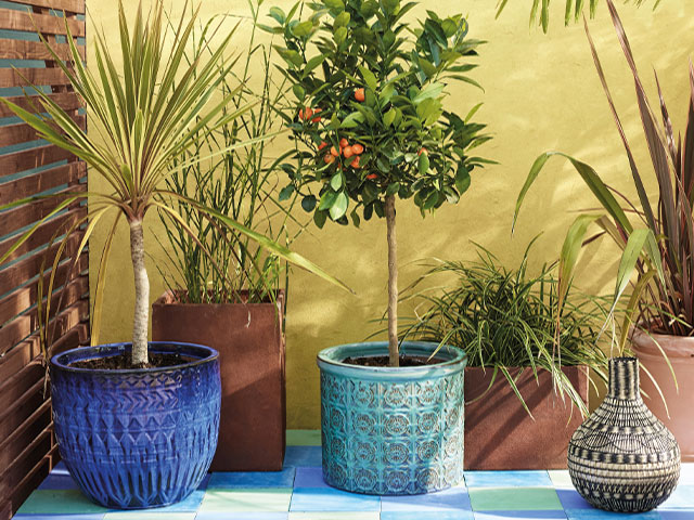 mediterranean courtyard garden with colourful outdoor planters and plant pots from dobbies