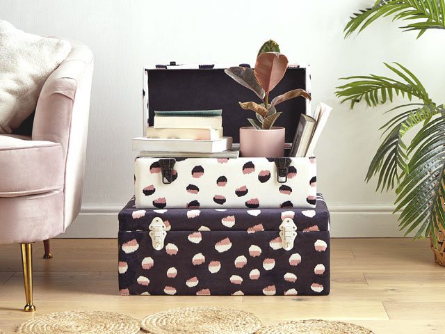 Vintage-style storage trunks