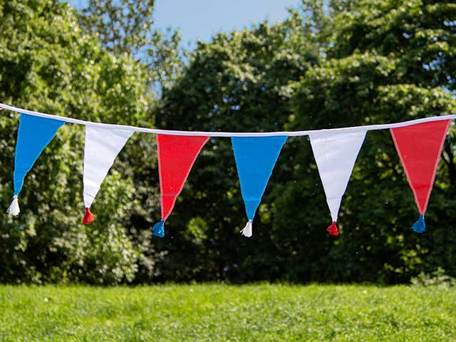 Red white and blue bunting hanging in field