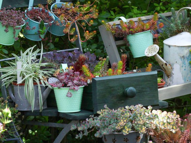 garden upcycling projects - old drawers as planters