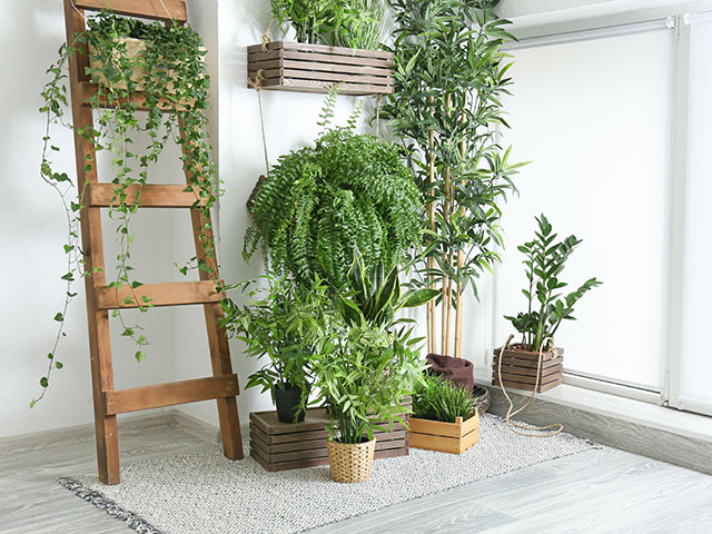 ladder with plants - garden upcycling ideas