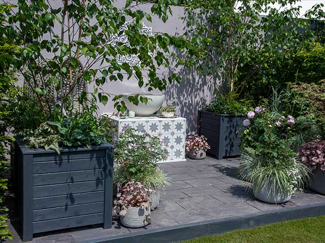 Meditation garden at Chelsea Flower Show gardens